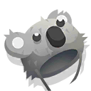 koala hat