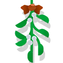 mistletoe