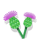 thistle