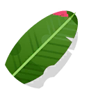 6 banana leaf