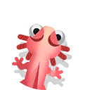axolotl