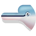 amazon river dolphin