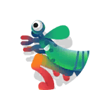 peacock mantis shrimp