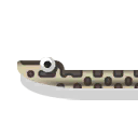 eastern massasauga rattlesnake