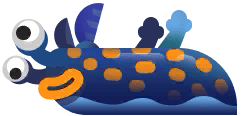 Nudibranch em Costa Rica