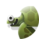 olive ridley sea turtle