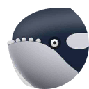 killer whale