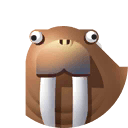 walrus