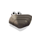 freshwater pearl mussels