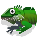 chinese water dragon