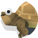 giant asian pond turtle